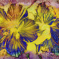 Abstract Flower