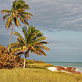 The Keys Natural Beauty