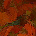 Butterfly Abstract