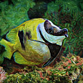 Indigo Fish