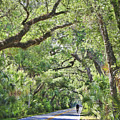 Riding The Ormond Loop